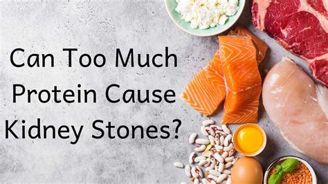 does to much protein cause gas? the impact of protein intake on digestive health