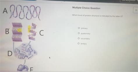 which protein is indicated by the letter a? It's intriguing to explore how different proteins contribute to our understanding of genetics and their potential roles in various diseases.